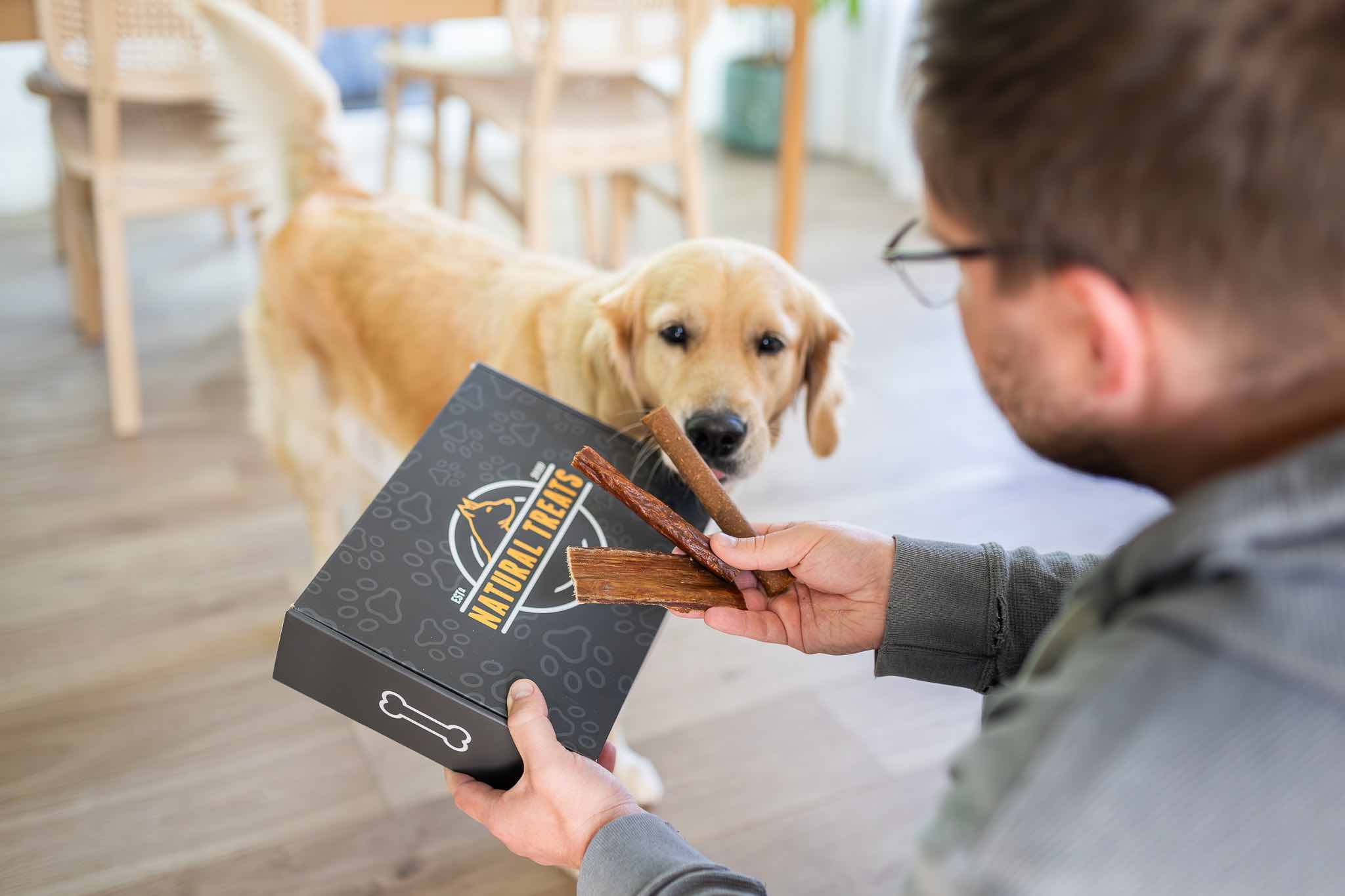 Introducing Natora: The Next Chapter in Natural Dog Treats