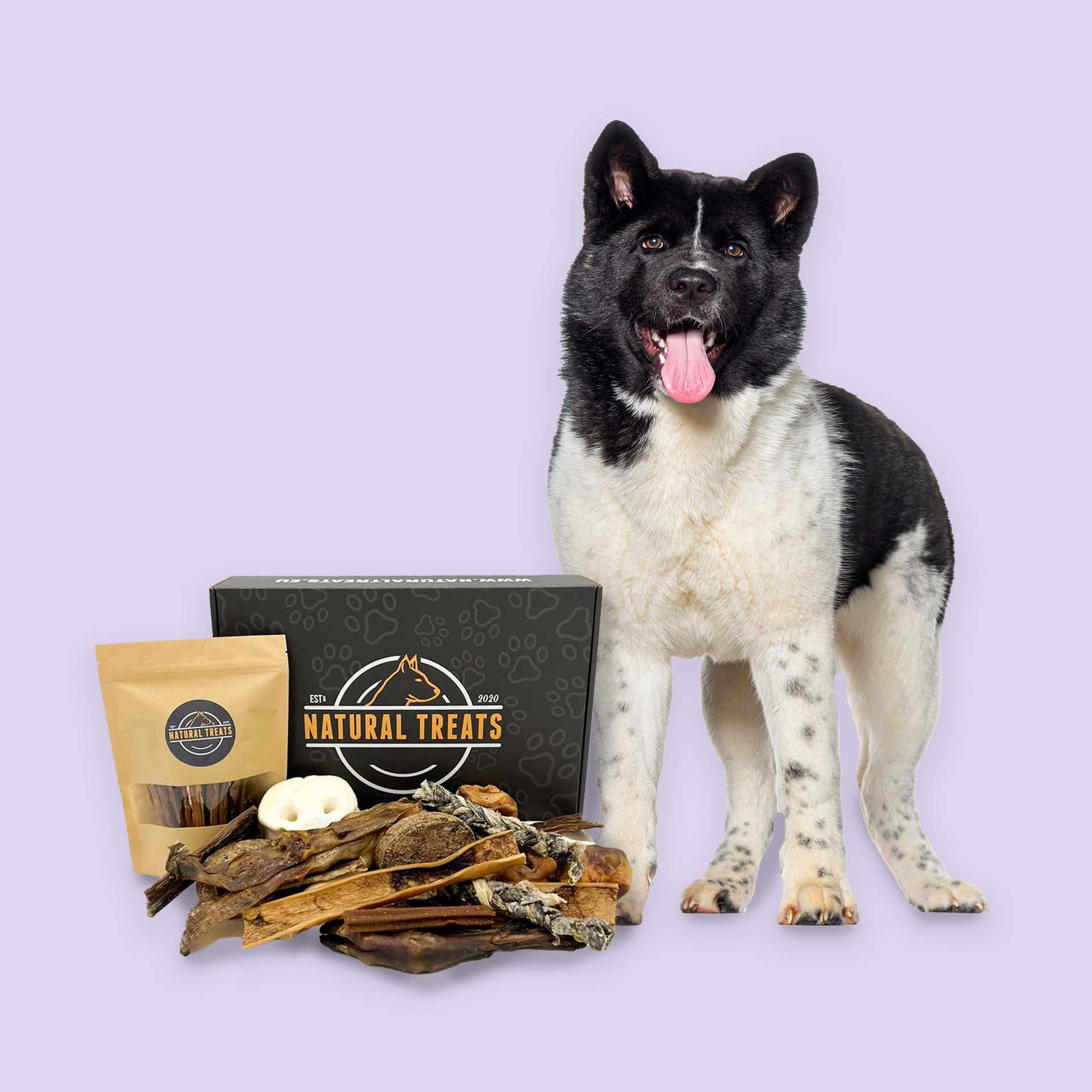 Subscription box for dogs