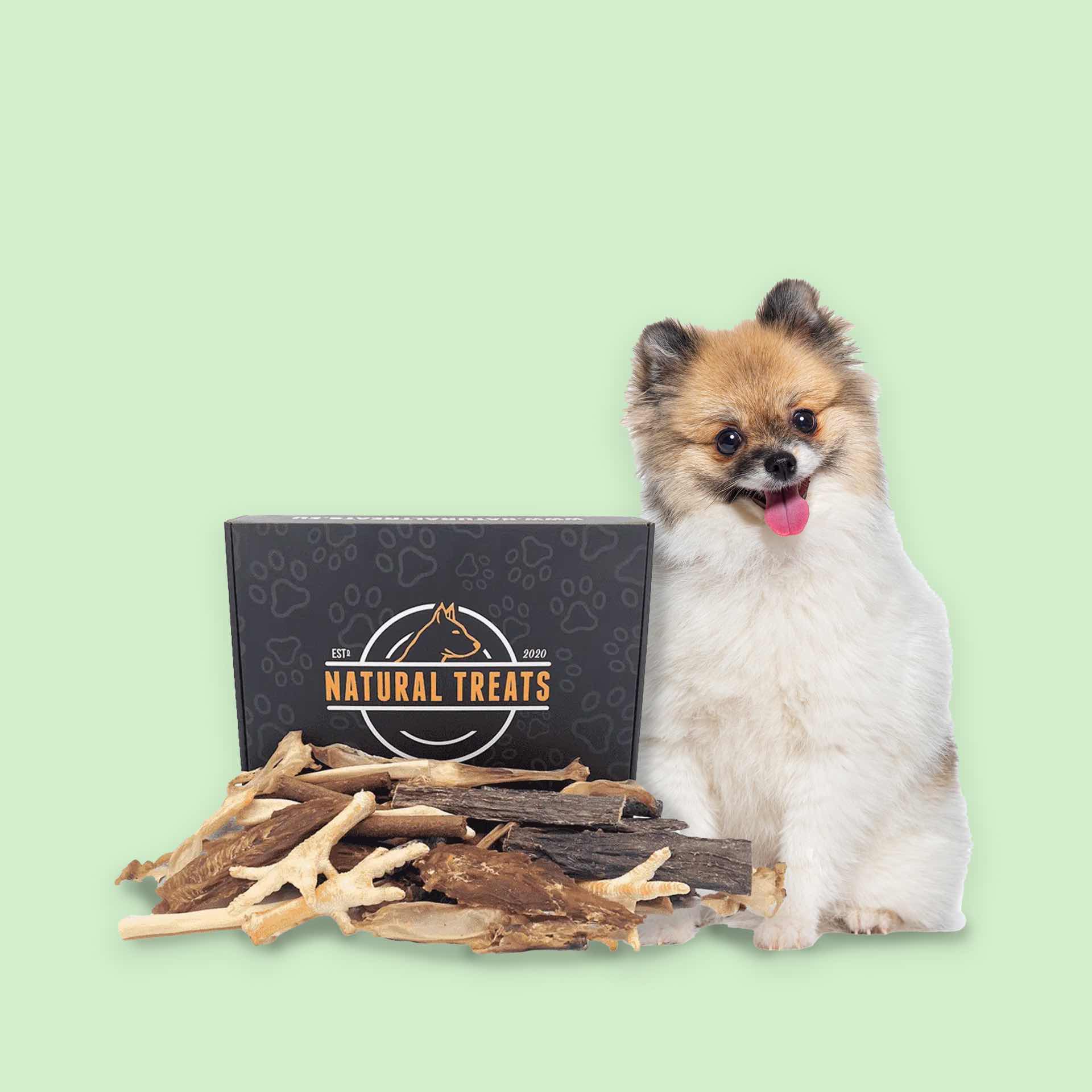 Natural dog treats box for small dogs